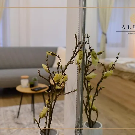 Aluna Lux Apartment Zlatibor